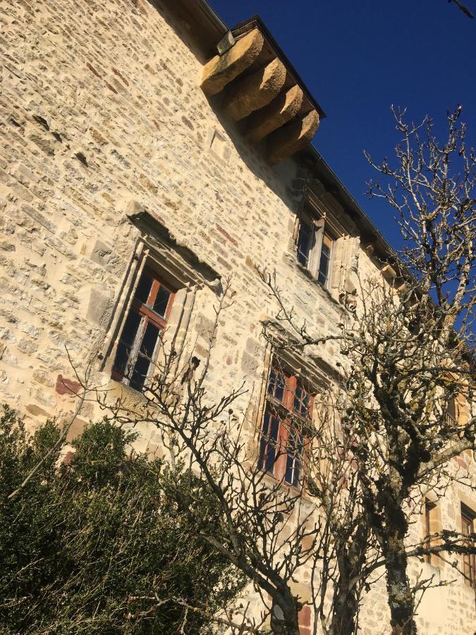Le Chateau De Lunel Saint-Félix-de-Lunel 外观 照片